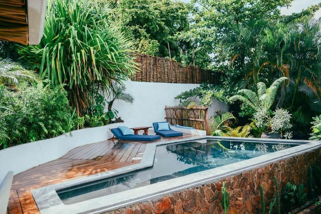 Bamboojam Villa Las Terrenas