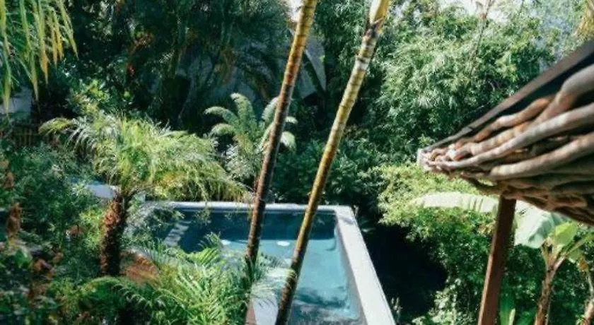Szálloda Bamboojam Villa Las Terrenas