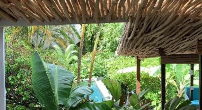 Bamboojam Villa Las Terrenas Dominikai Köztársaság